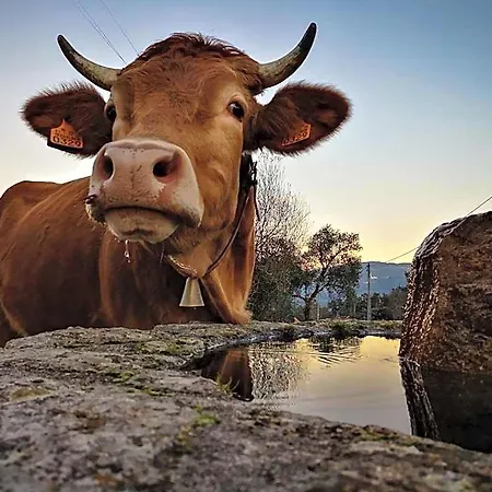 Retiro Do * Gerês