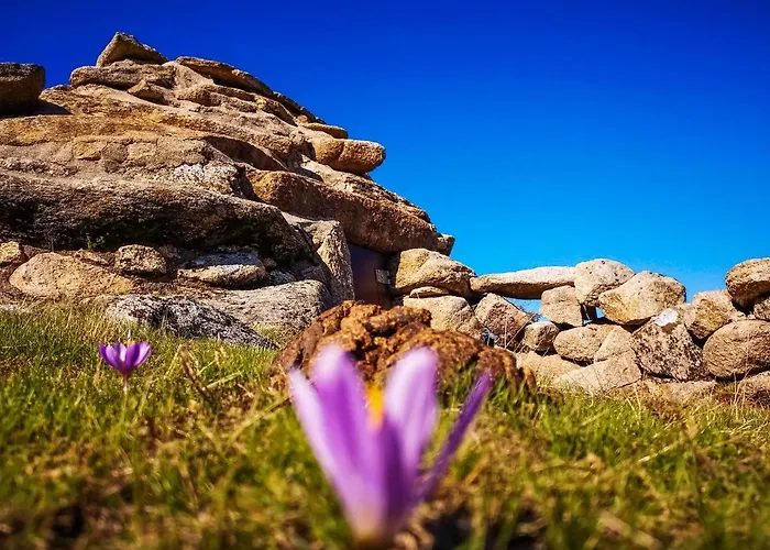 旅馆 Retiro Do 吉尔斯