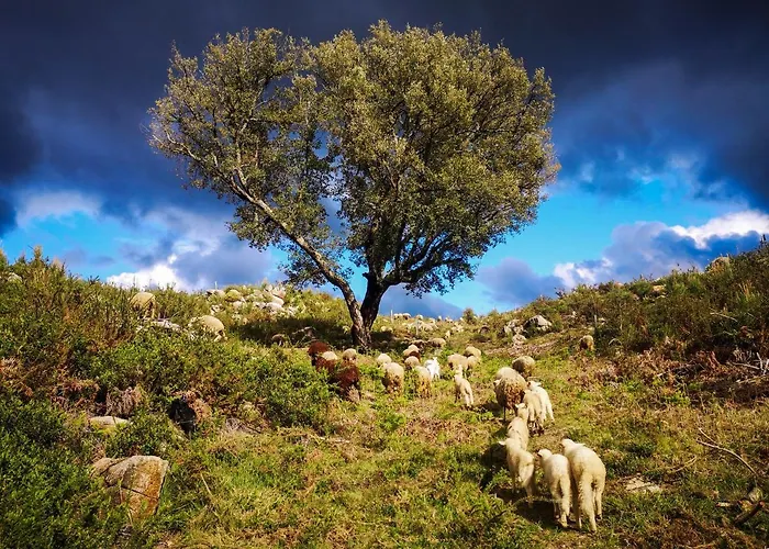 Albergue Retiro Do Gerês
